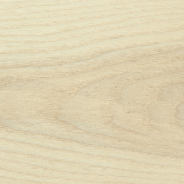 Wood Samples